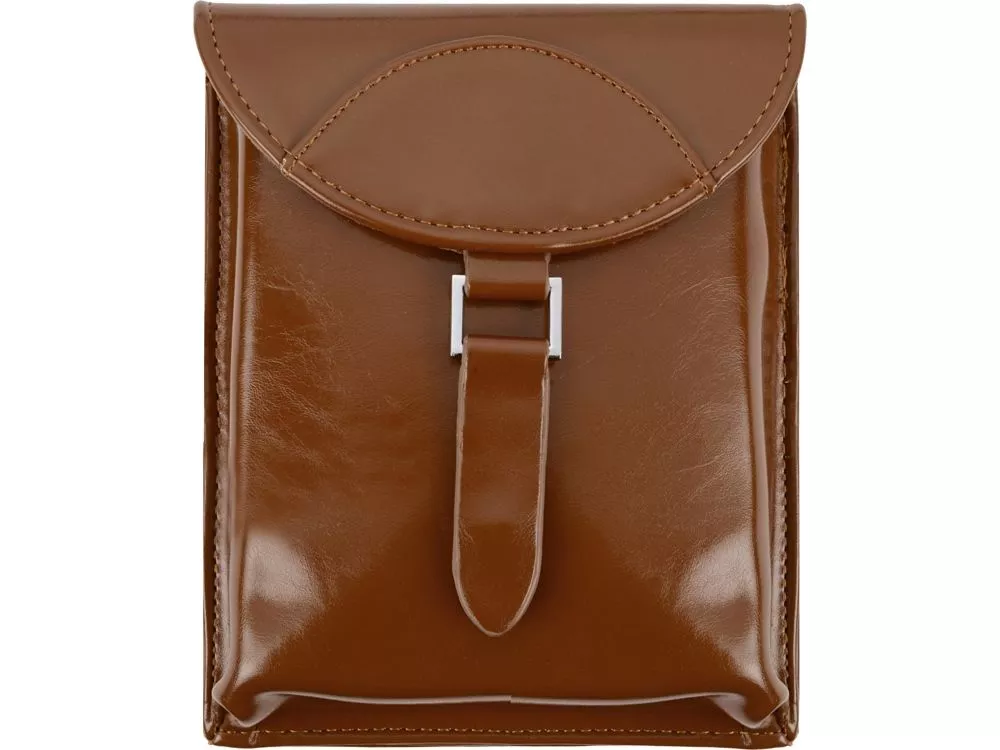 Набор аксессуаров для чистки обуви Кэрролтон