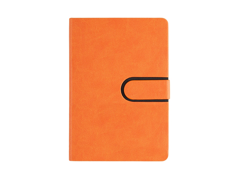 Ежедневник недатированный А5 Status