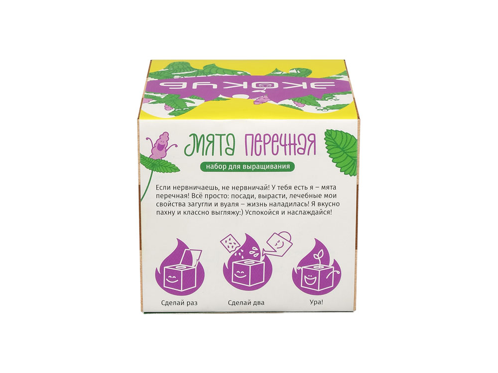 Набор для выращивания Мята