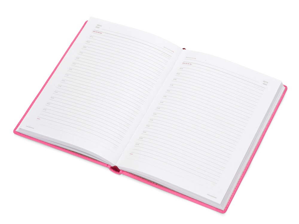 Ежедневник недатированный А5 Velvet