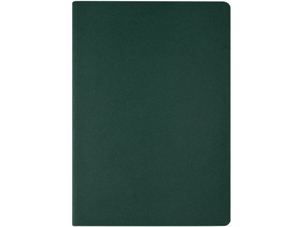 Бизнес тетрадь А5 Pragmatic