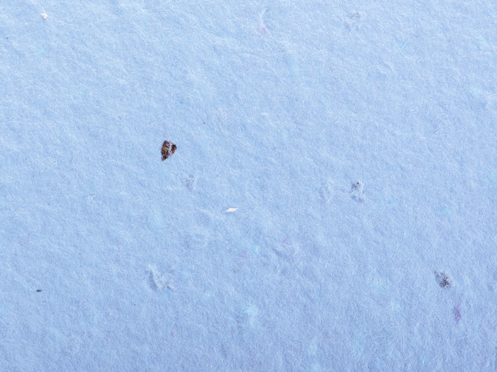 Блокнот А6 с бумажным карандашом и семенами цветов микс