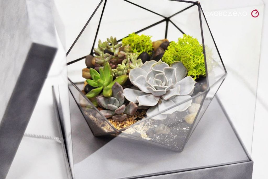 Мини сад на 8 марта