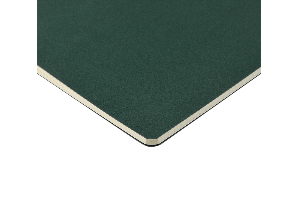 Бизнес тетрадь А5 Pragmatic