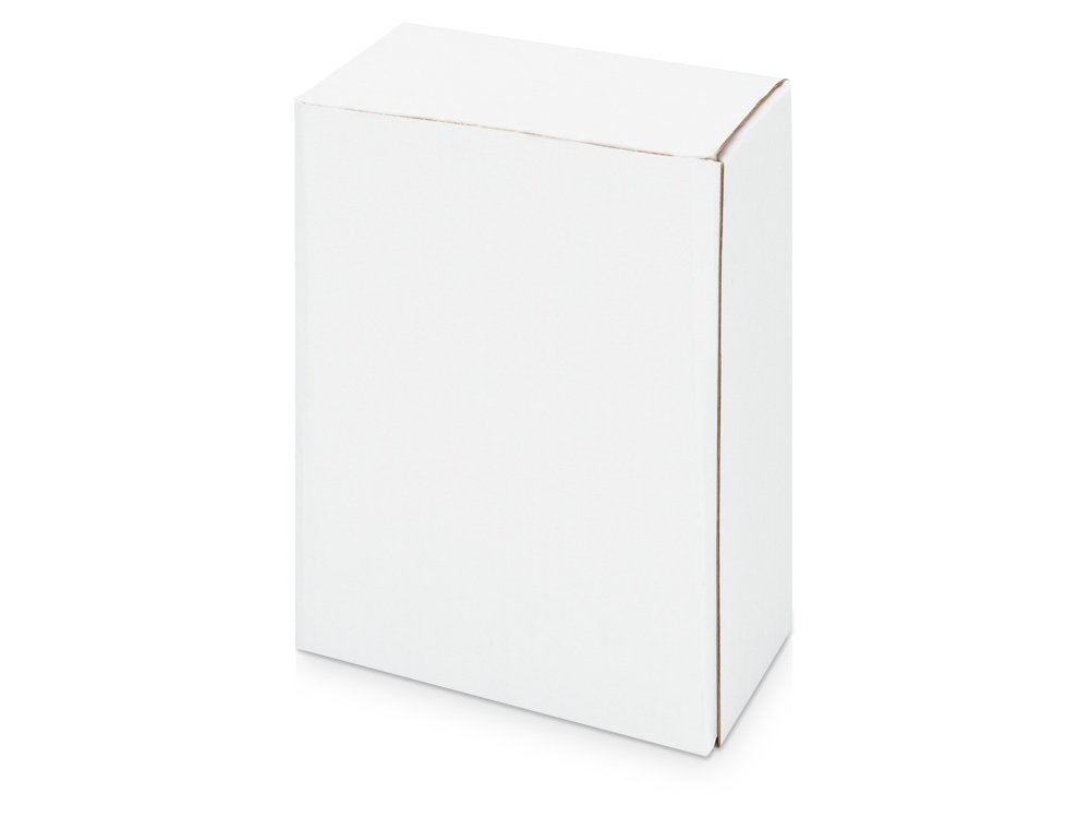 Часы Государственное устройство Российской Федерации